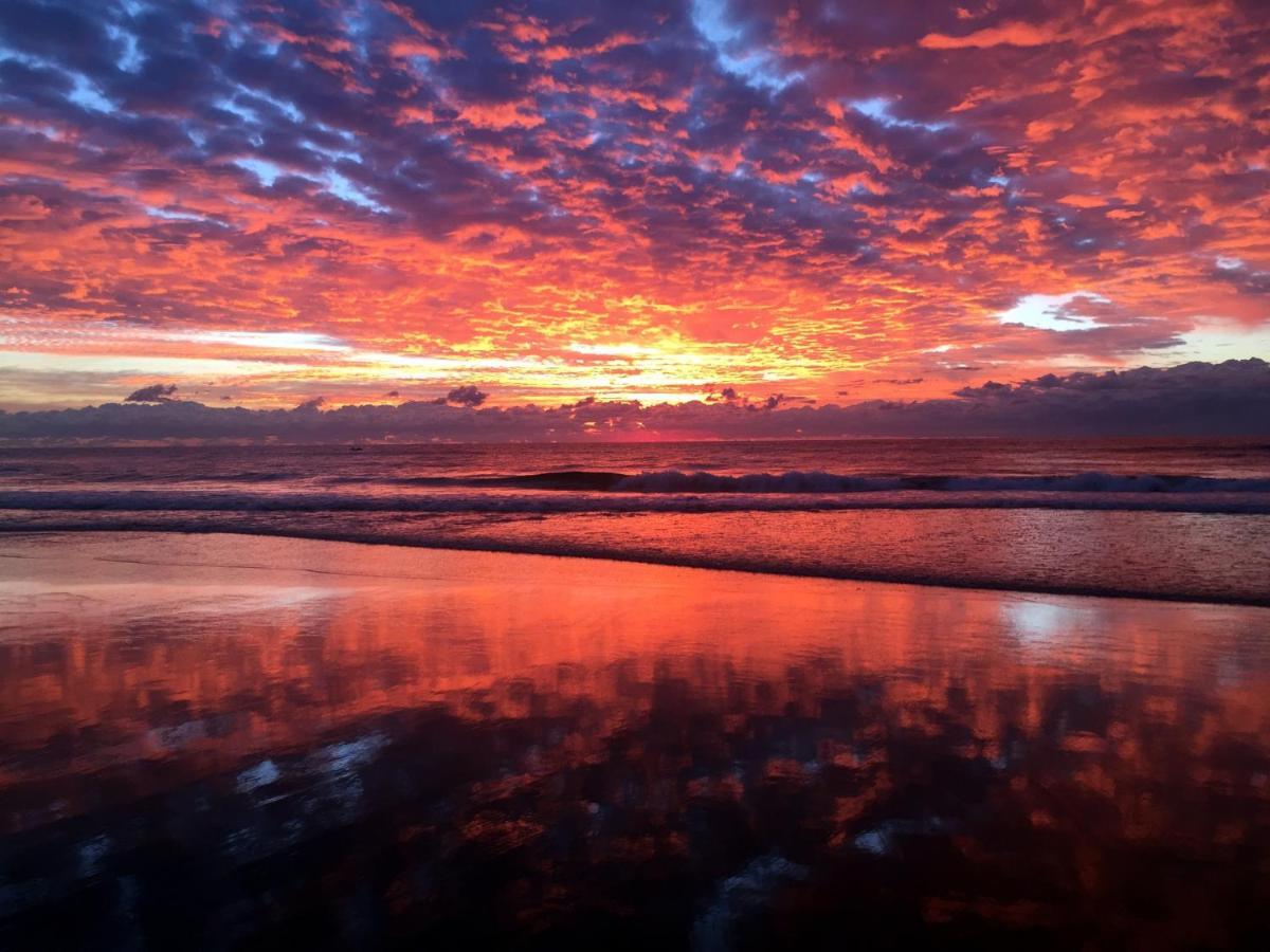 Beachside/ Paradise Best Views Gold Coast Bagian luar foto