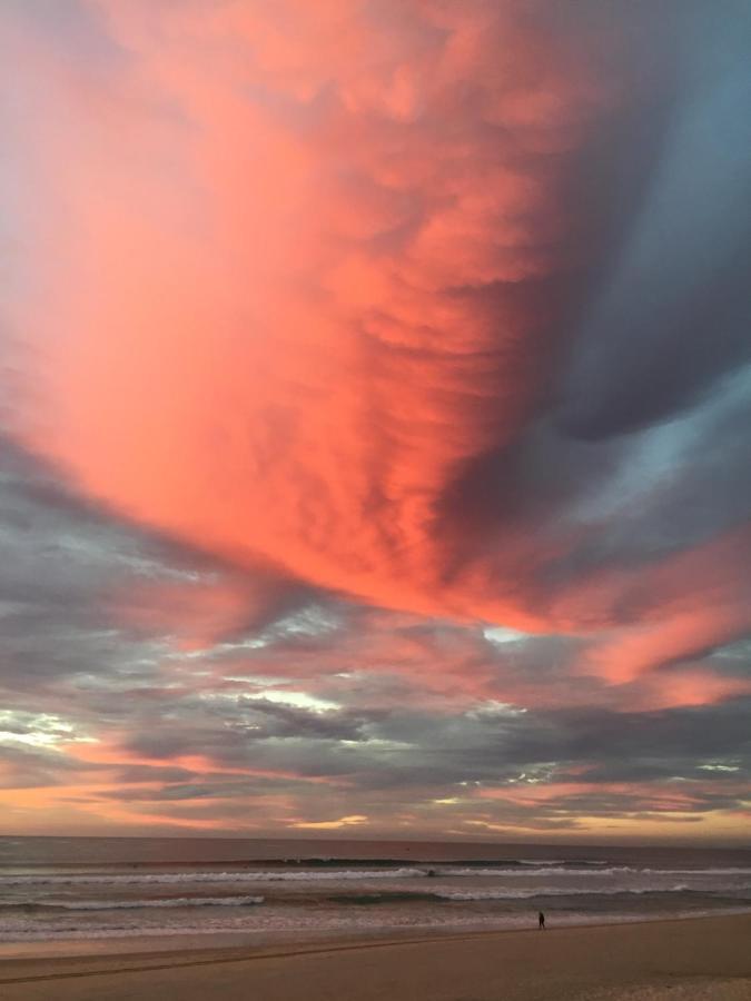 Beachside/ Paradise Best Views Gold Coast Bagian luar foto